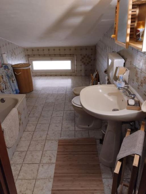 Il Gelsomino Apartment Rimini